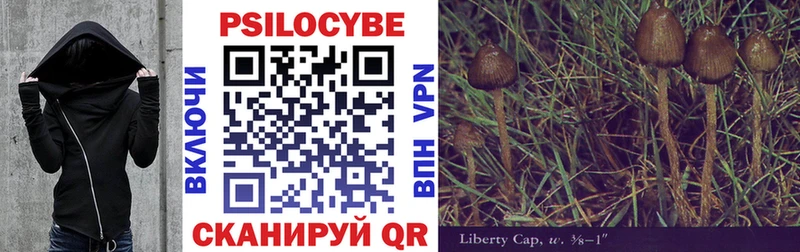 Псилоцибиновые грибы Psilocybine cubensis это Telegram Лаишево наркота